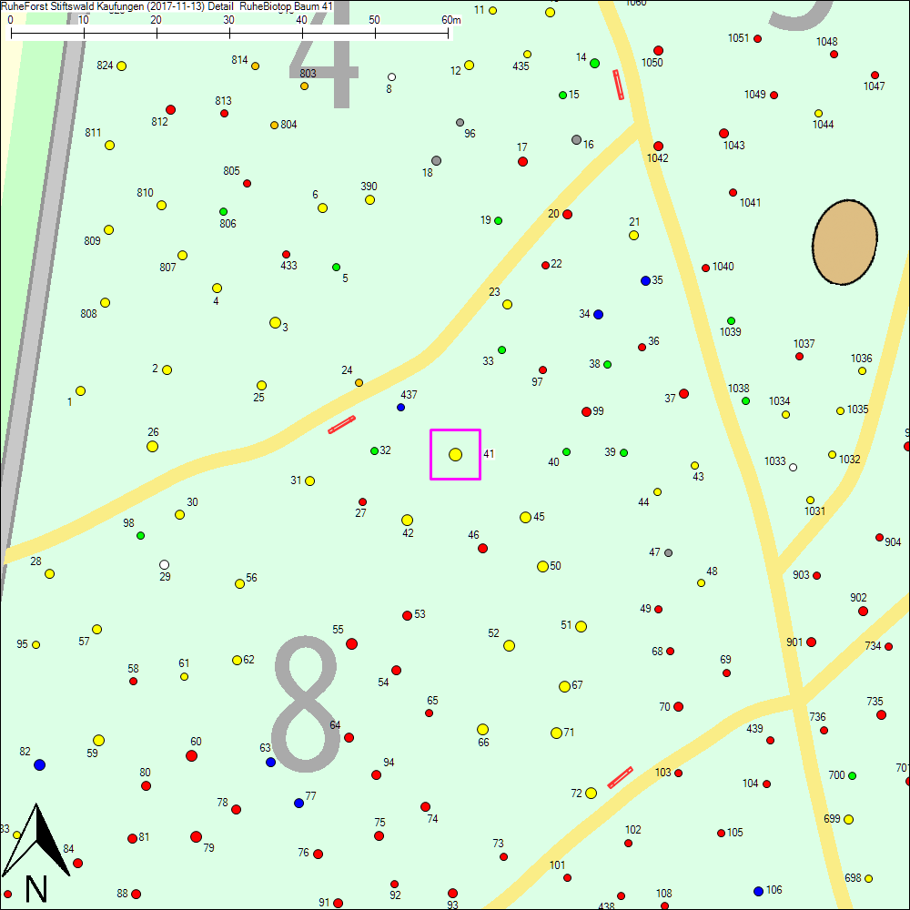 Detailkarte zu Baum 41