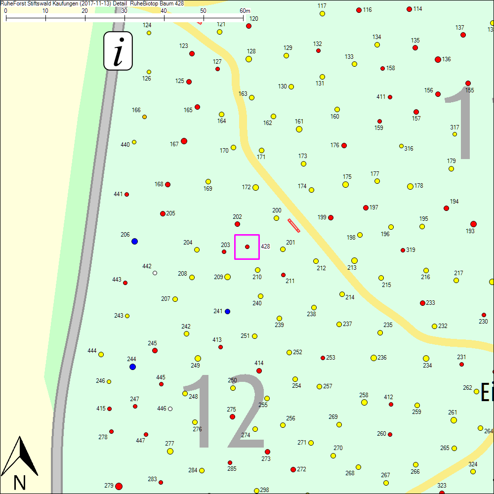 Detailkarte zu Baum 428