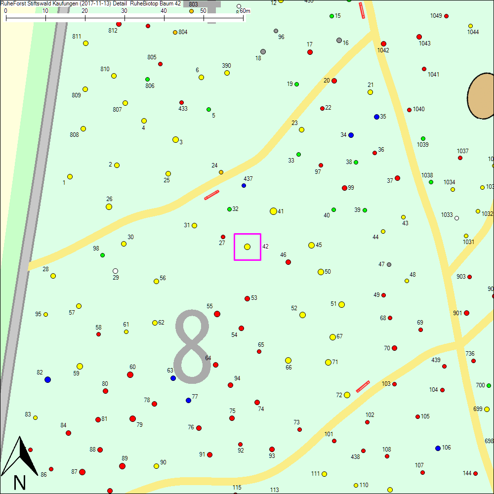 Detailkarte zu Baum 42