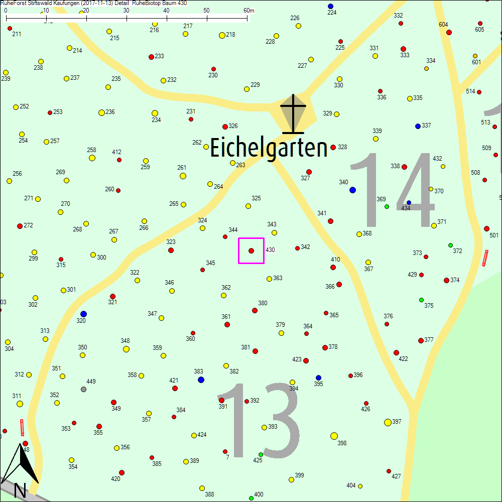 Detailkarte zu Baum 430