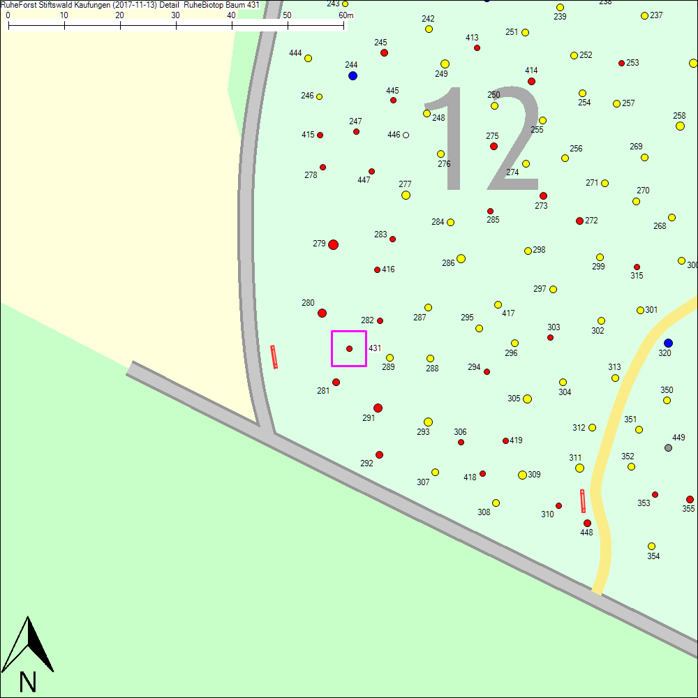 Detailkarte zu Baum 431