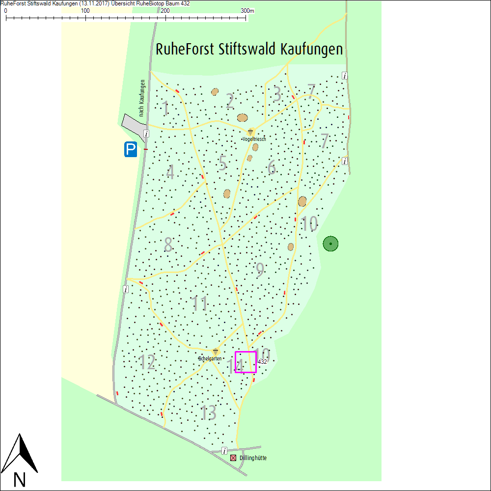 &Uuml;bersichtskarte zu Baum 432