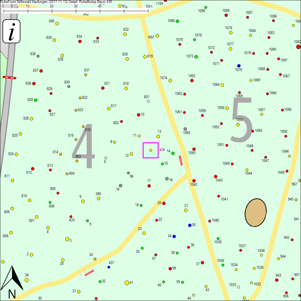 Detailkarte zu Baum 435