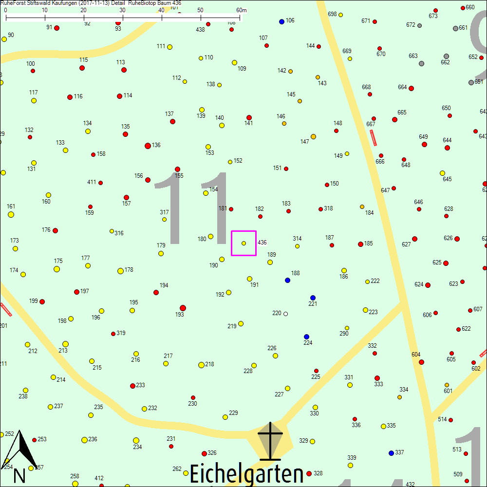 Detailkarte zu Baum 436