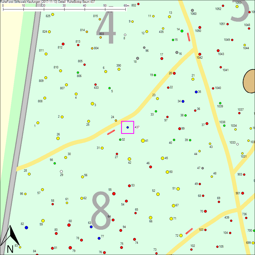 Detailkarte zu Baum 437