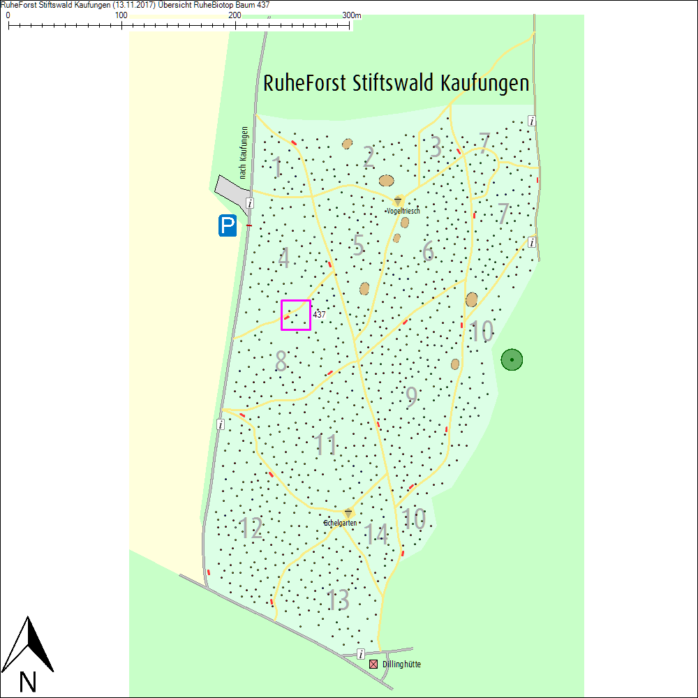 &Uuml;bersichtskarte zu Baum 437