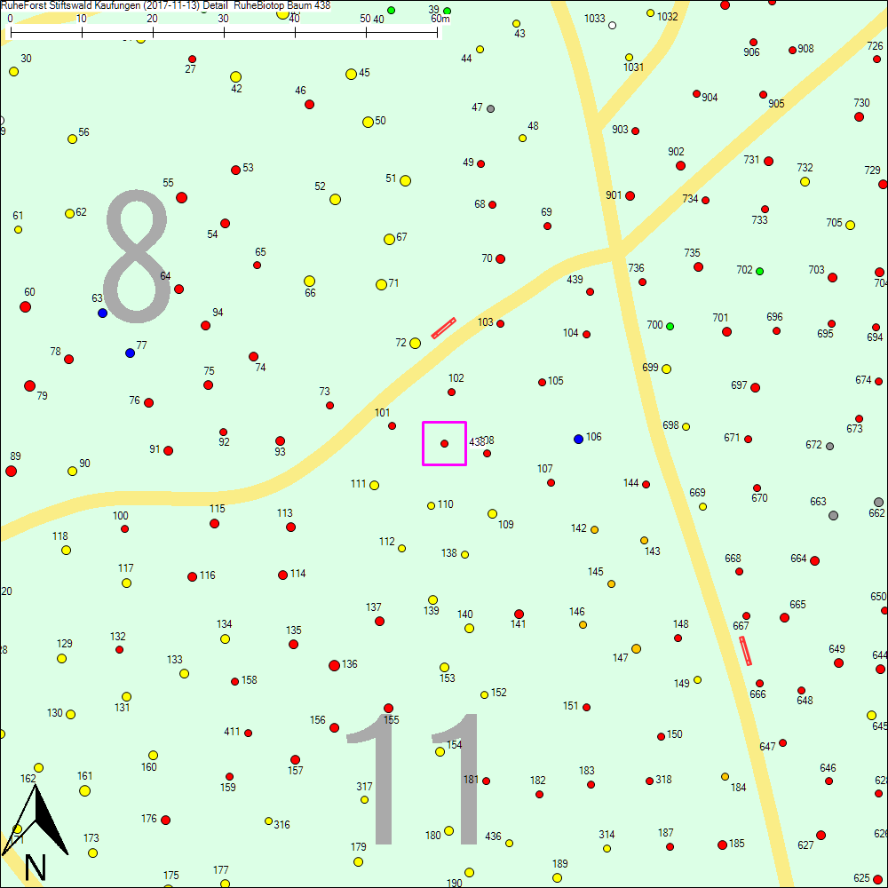Detailkarte zu Baum 438