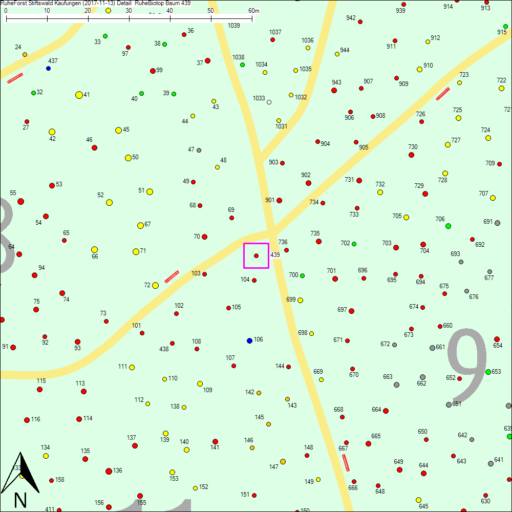Detailkarte zu Baum 439