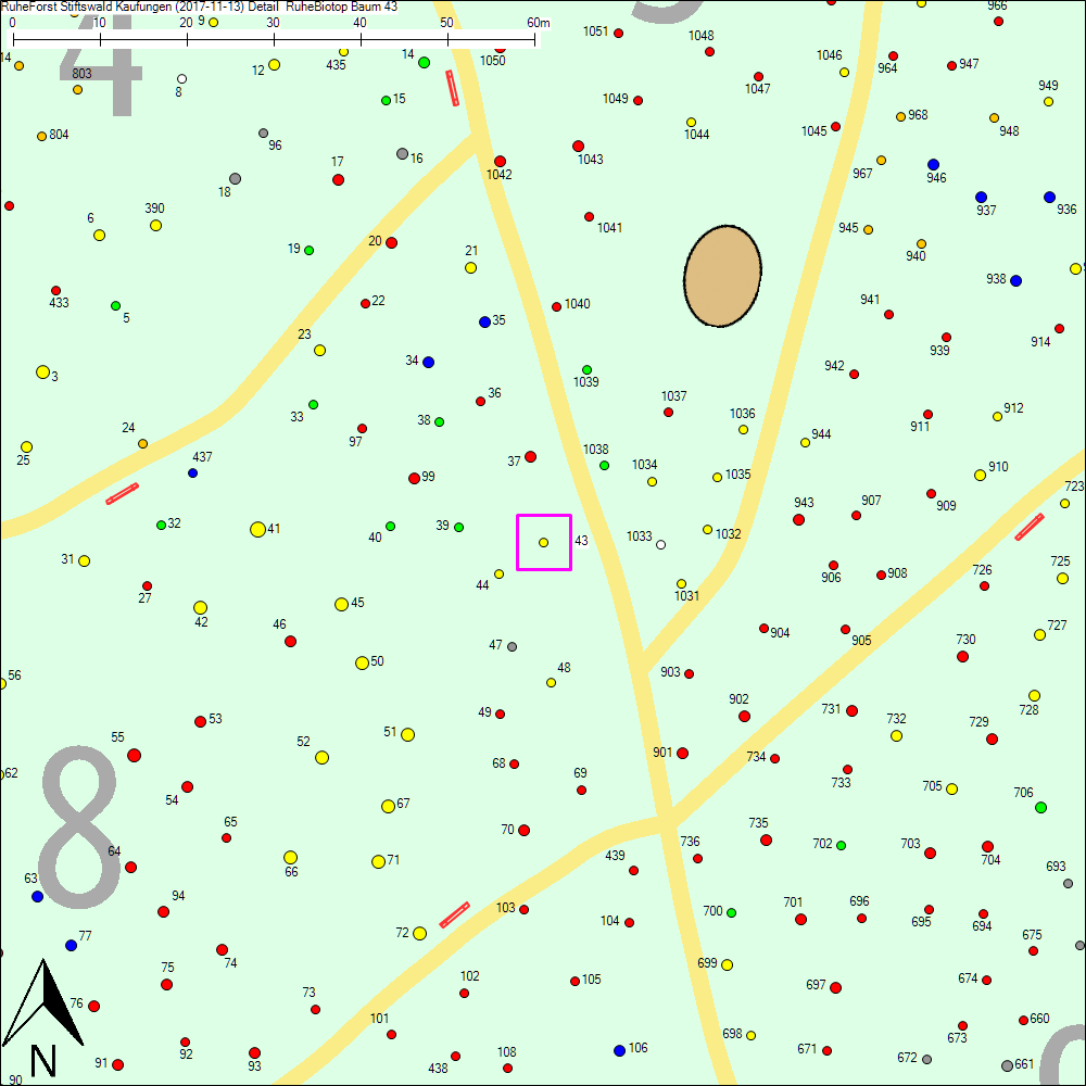 Detailkarte zu Baum 43