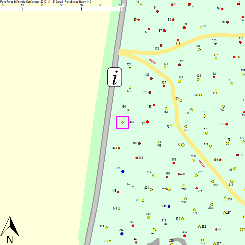 Detailkarte zu Baum 440
