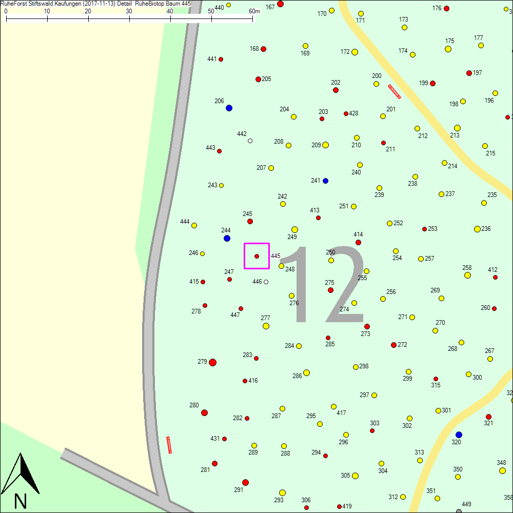 Detailkarte zu Baum 445