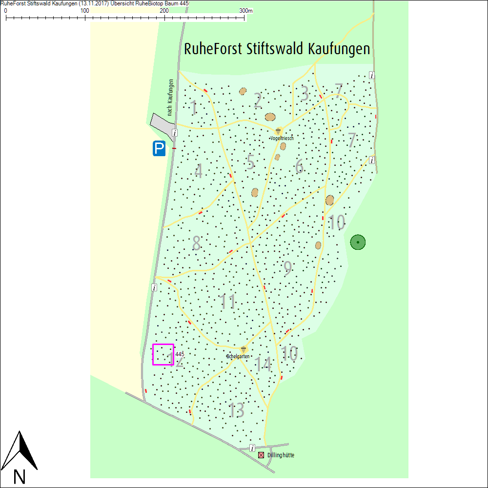 &Uuml;bersichtskarte zu Baum 445