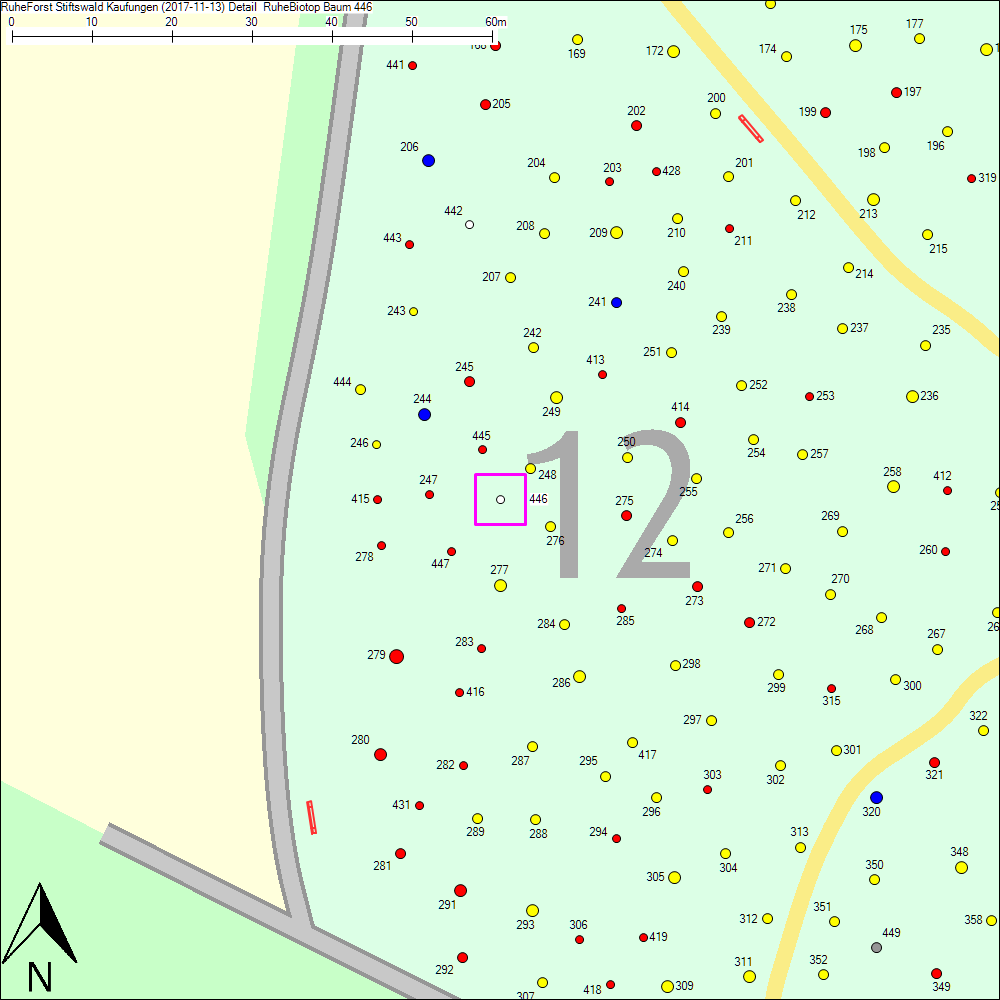 Detailkarte zu Baum 446