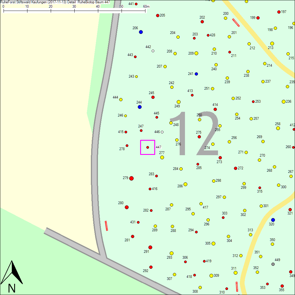 Detailkarte zu Baum 447