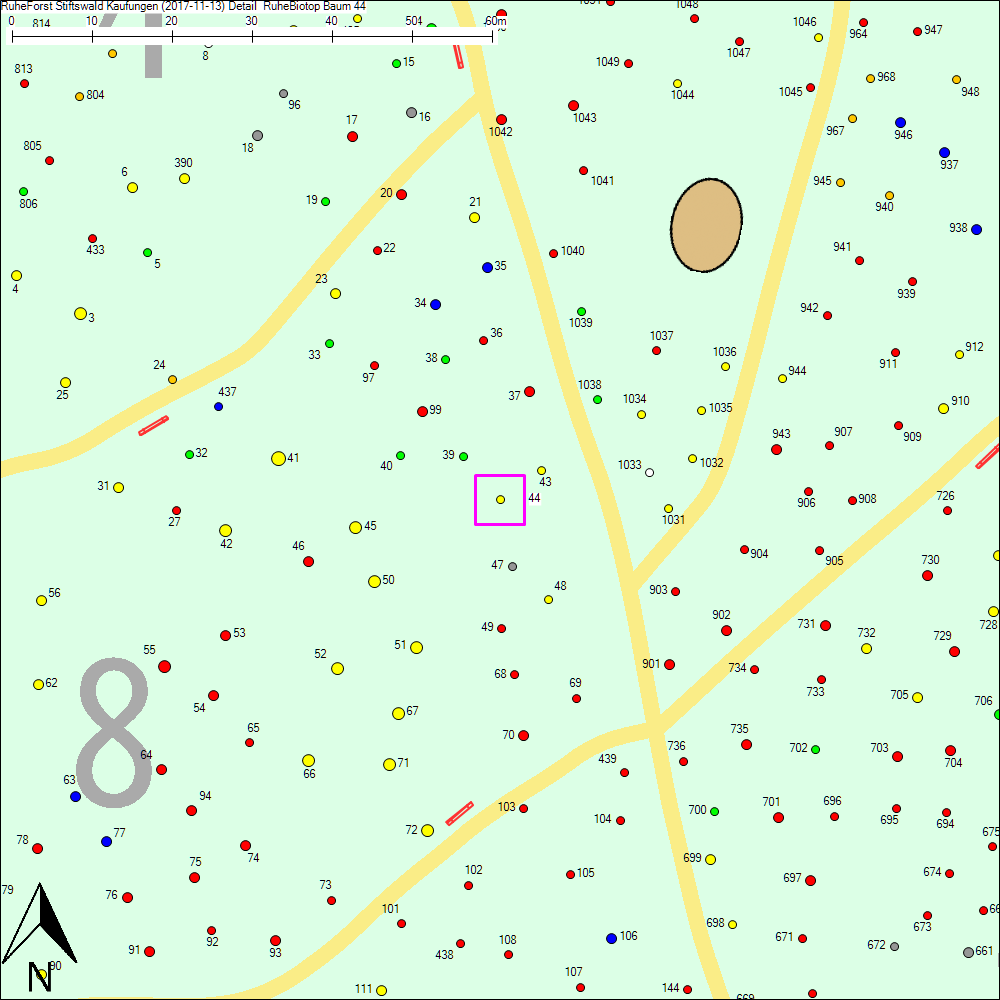 Detailkarte zu Baum 44