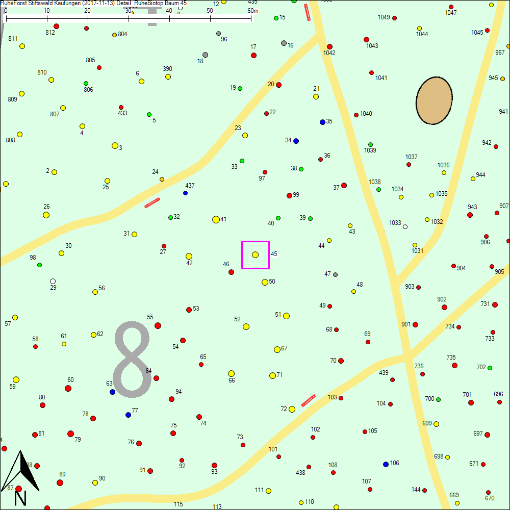 Detailkarte zu Baum 45