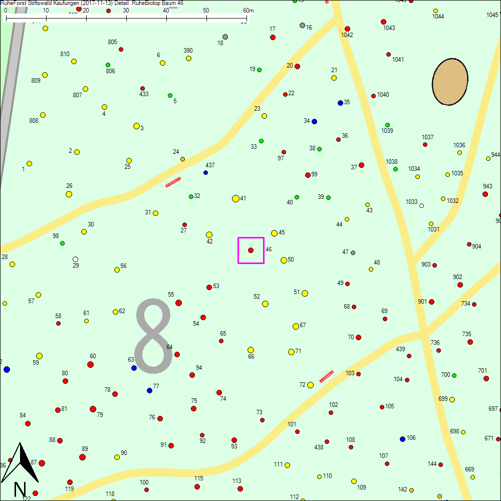 Detailkarte zu Baum 46