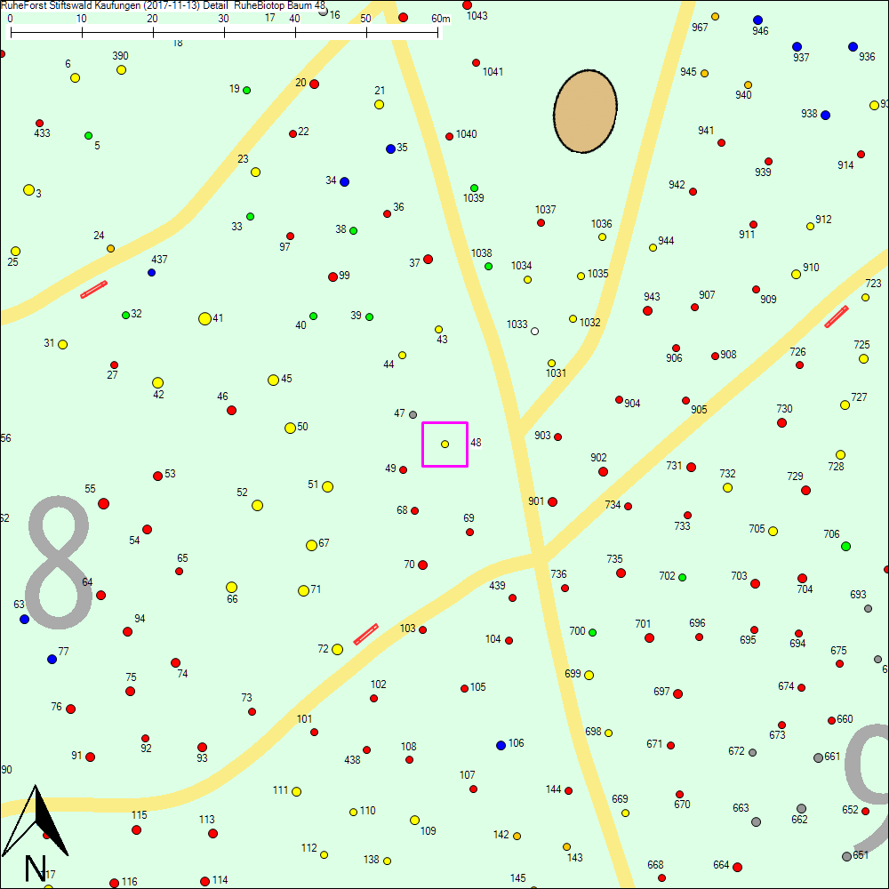 Detailkarte zu Baum 48
