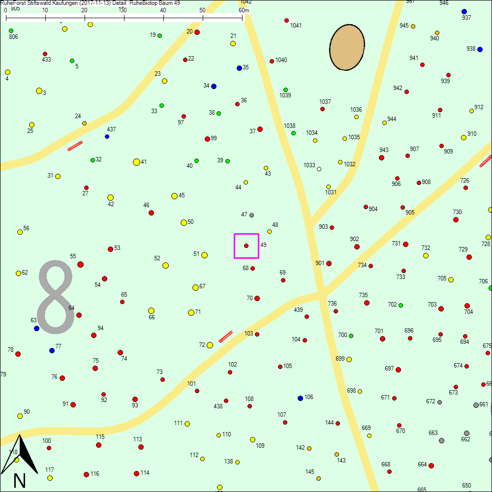 Detailkarte zu Baum 49