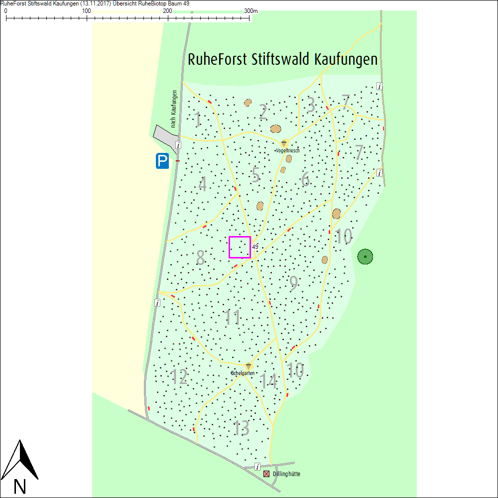 &Uuml;bersichtskarte zu Baum 49
