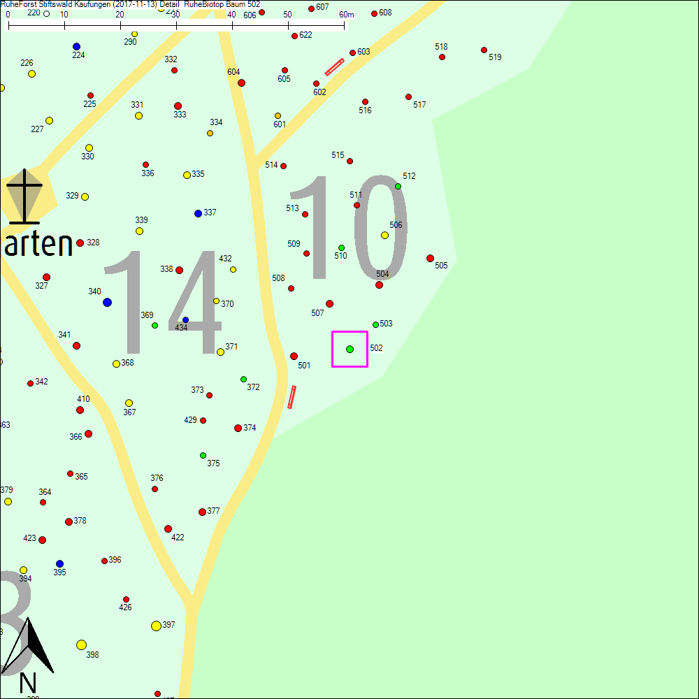 Detailkarte zu Baum 502