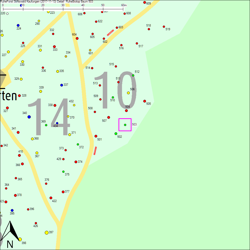 Detailkarte zu Baum 503