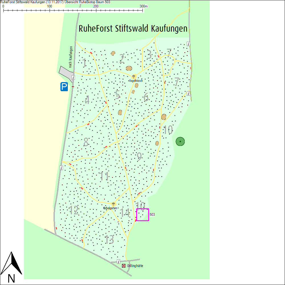 &Uuml;bersichtskarte zu Baum 503