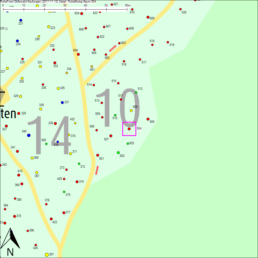 Detailkarte zu Baum 504