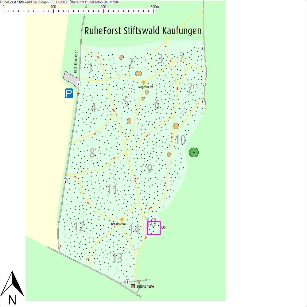 &Uuml;bersichtskarte zu Baum 504
