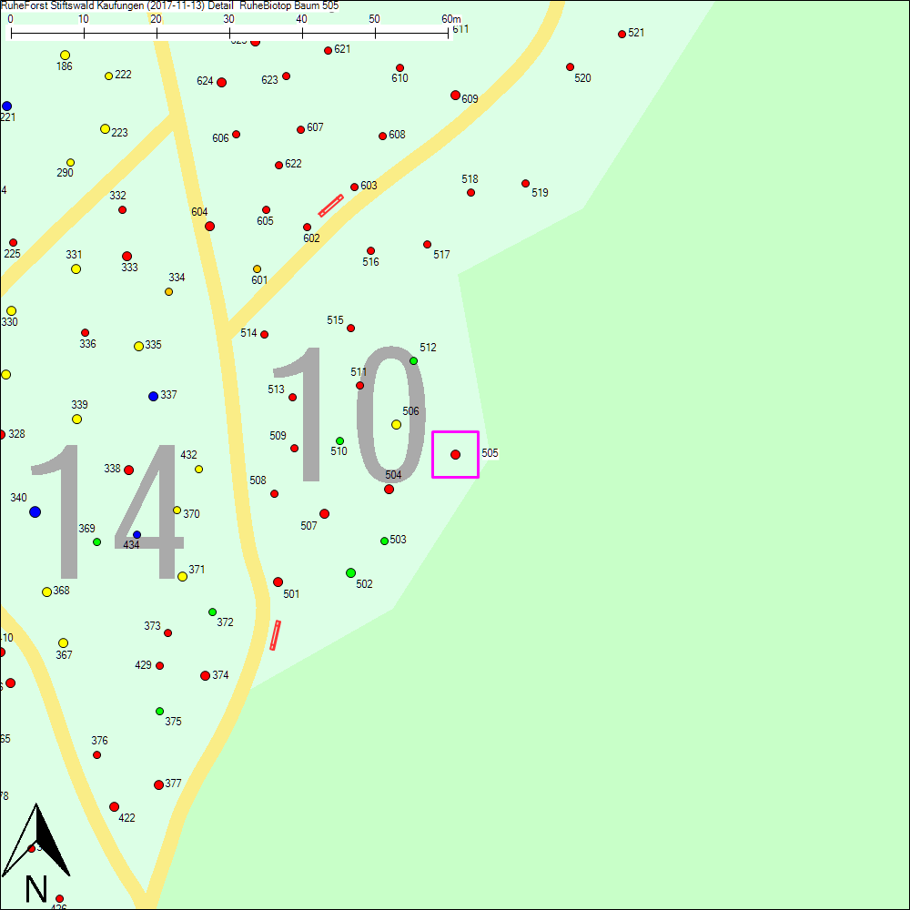 Detailkarte zu Baum 505