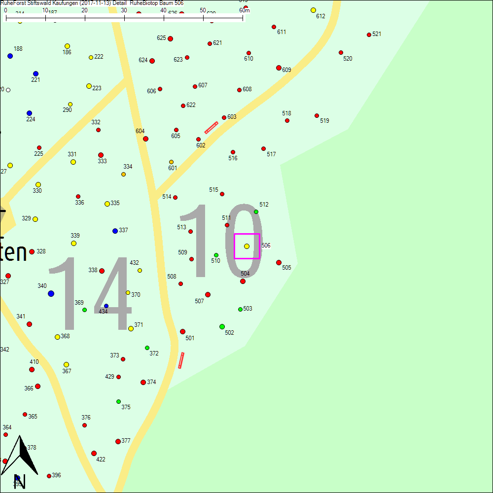 Detailkarte zu Baum 506
