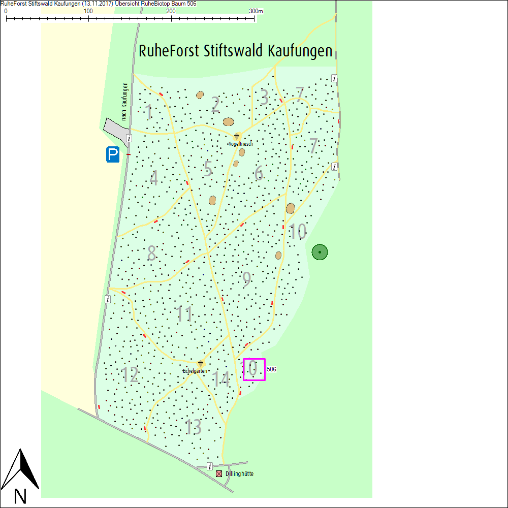 &Uuml;bersichtskarte zu Baum 506