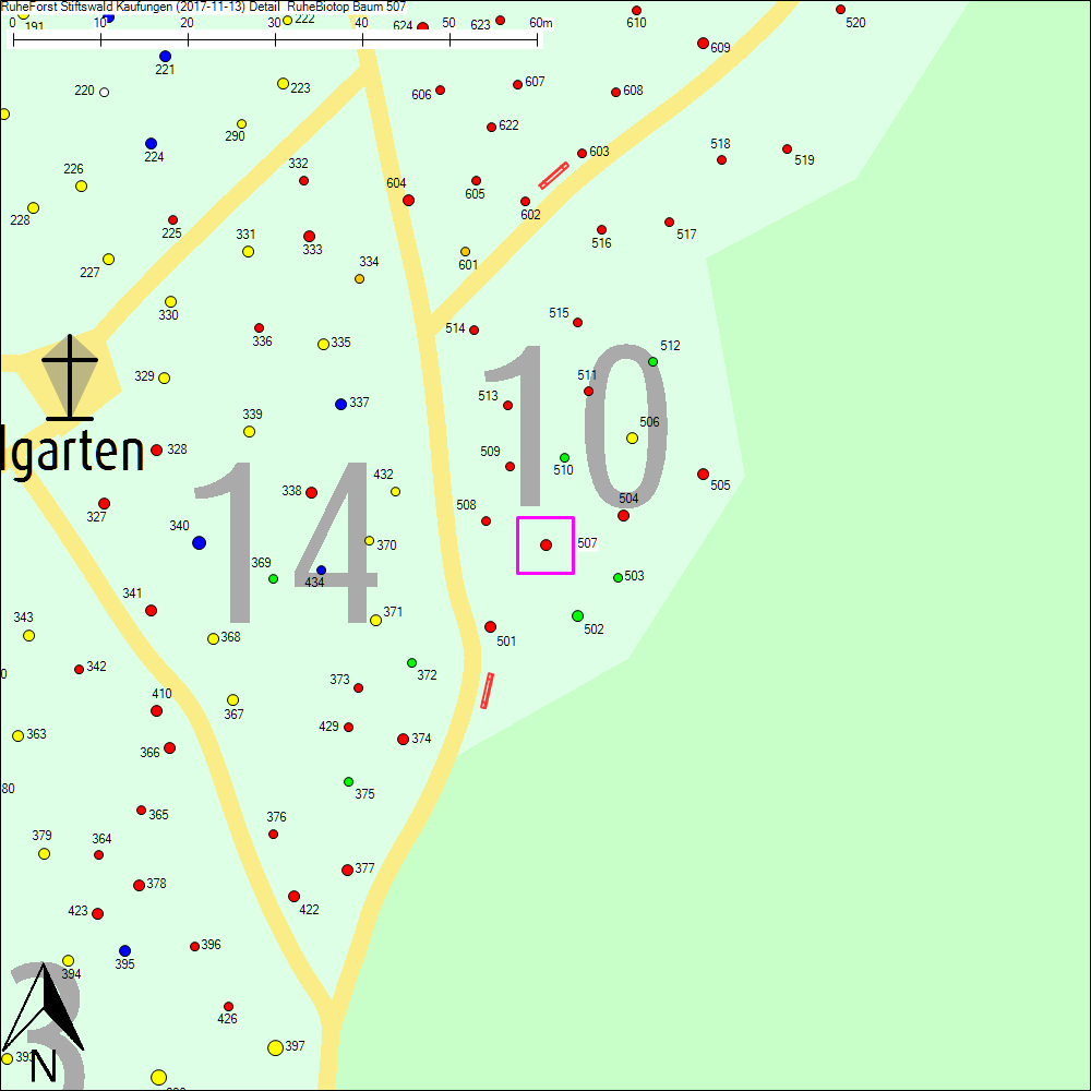 Detailkarte zu Baum 507
