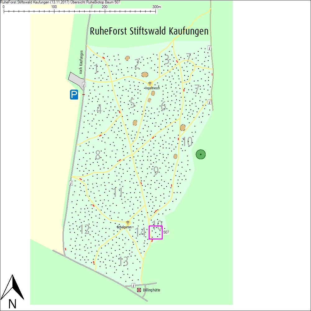 &Uuml;bersichtskarte zu Baum 507