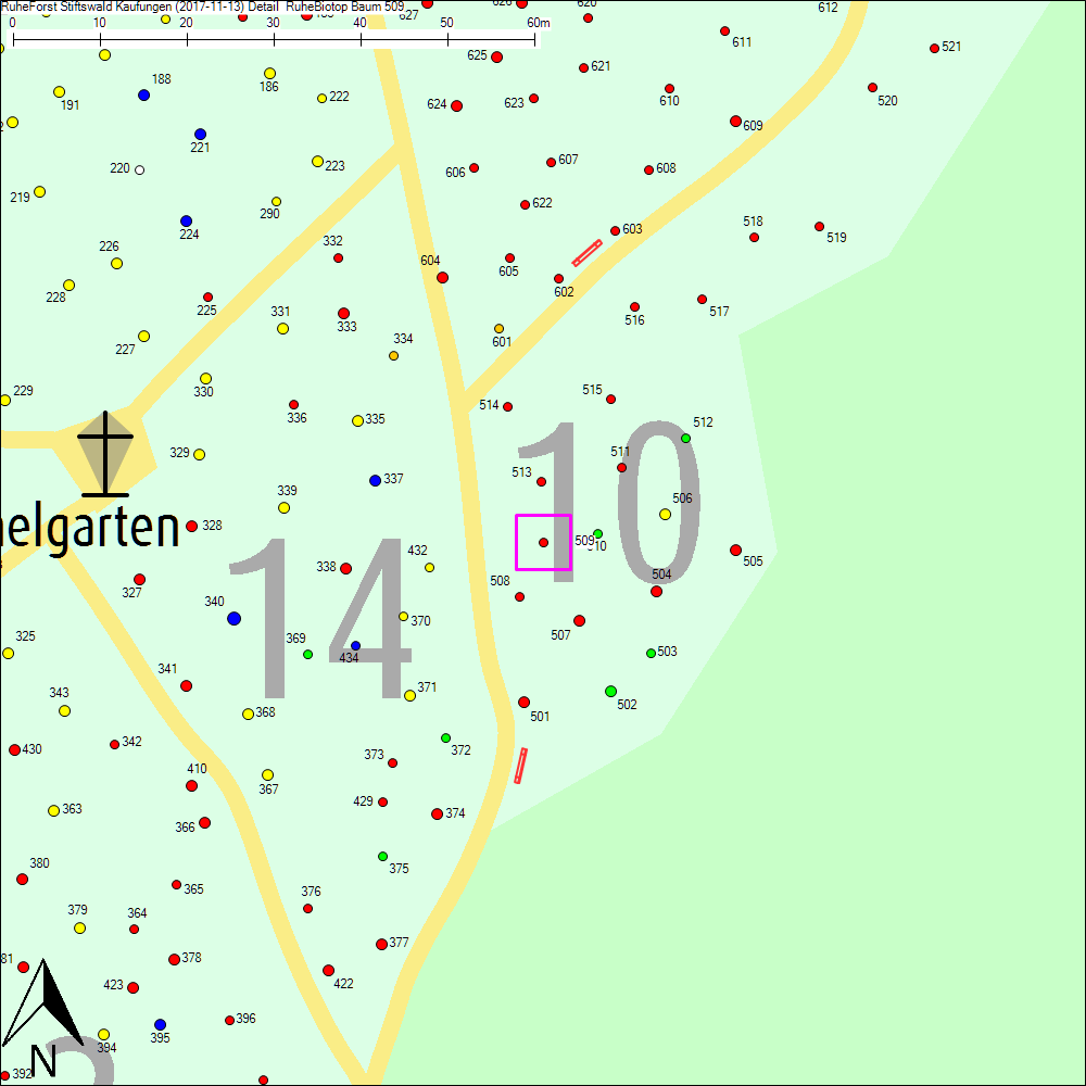 Detailkarte zu Baum 509