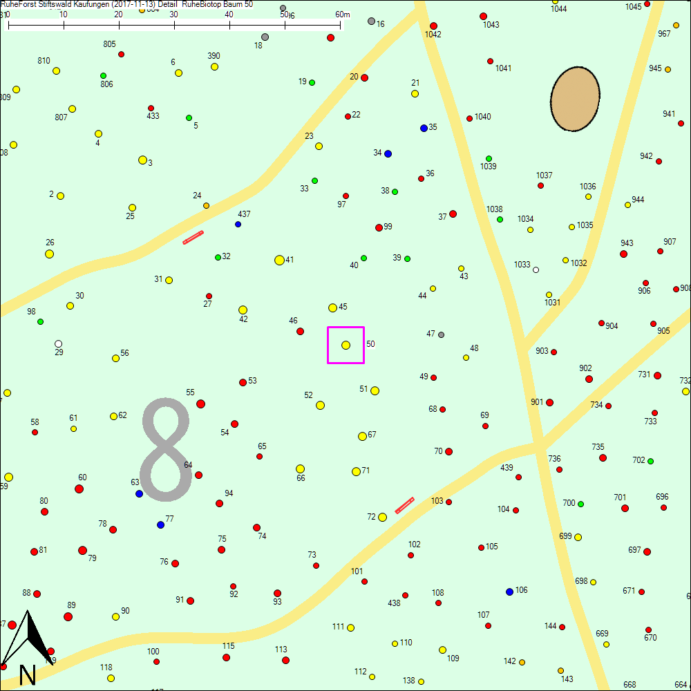 Detailkarte zu Baum 50