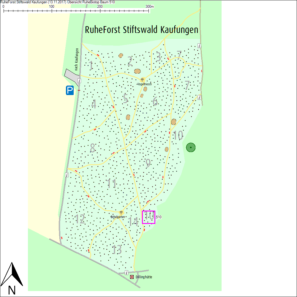 &Uuml;bersichtskarte zu Baum 510