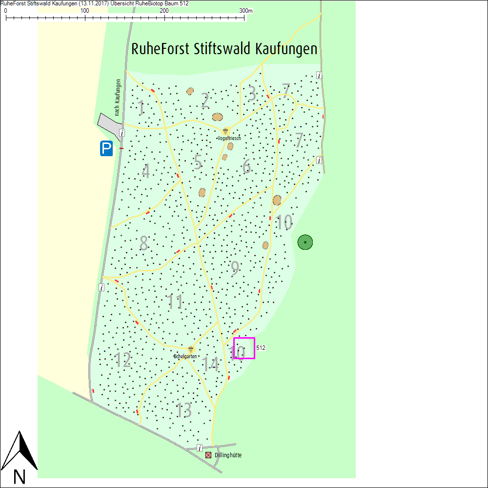 &Uuml;bersichtskarte zu Baum 512