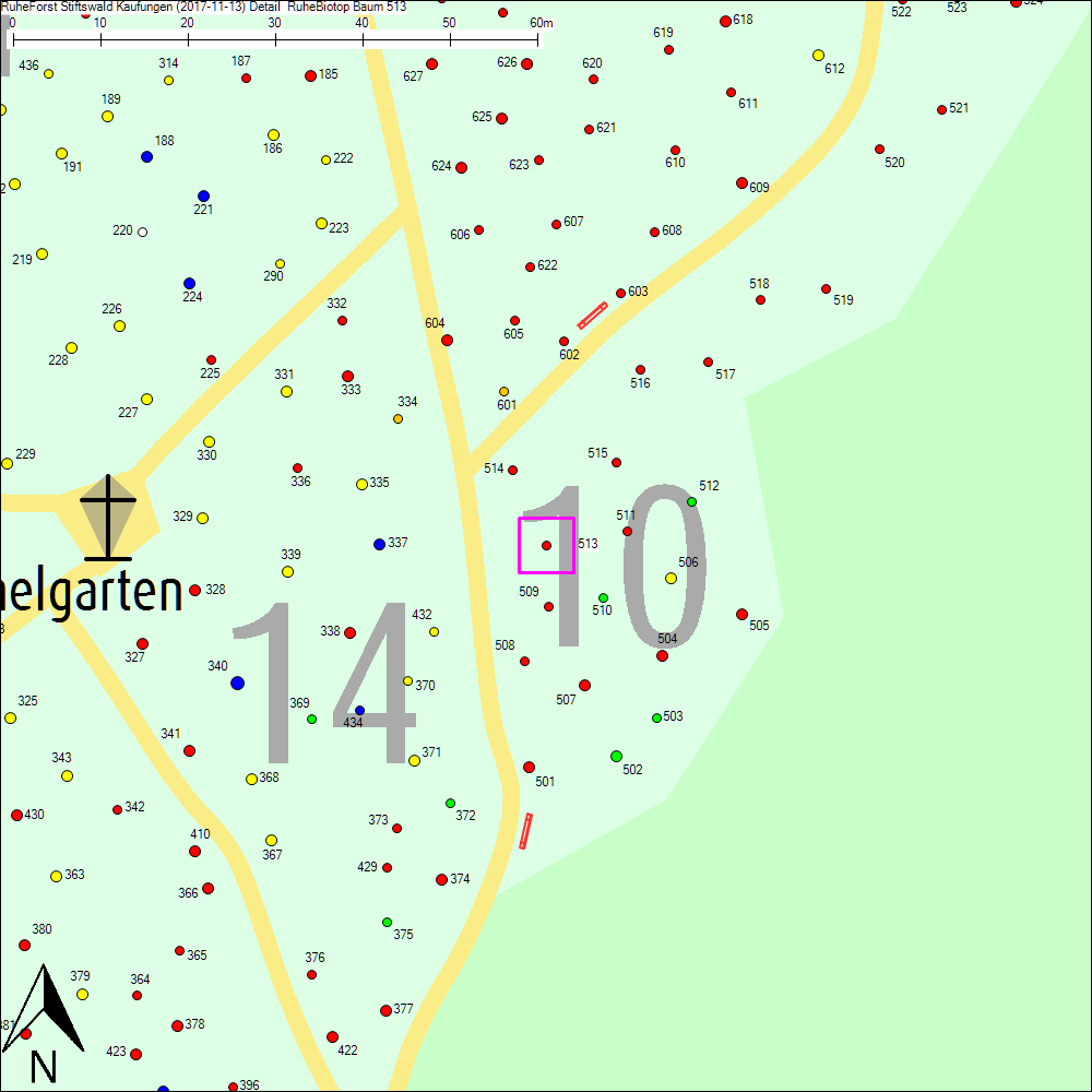 Detailkarte zu Baum 513