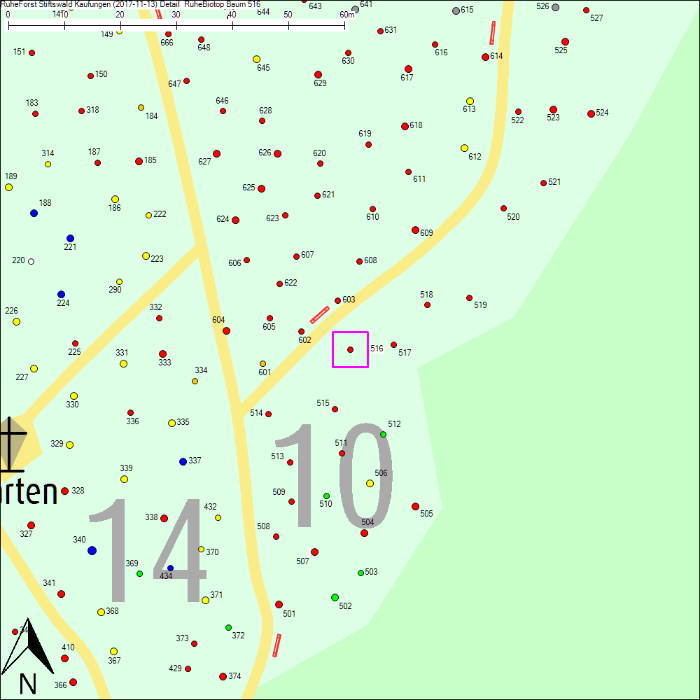 Detailkarte zu Baum 516