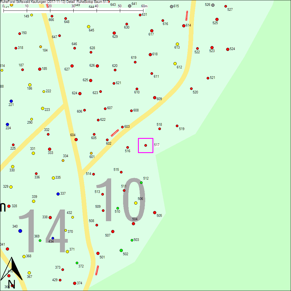 Detailkarte zu Baum 517