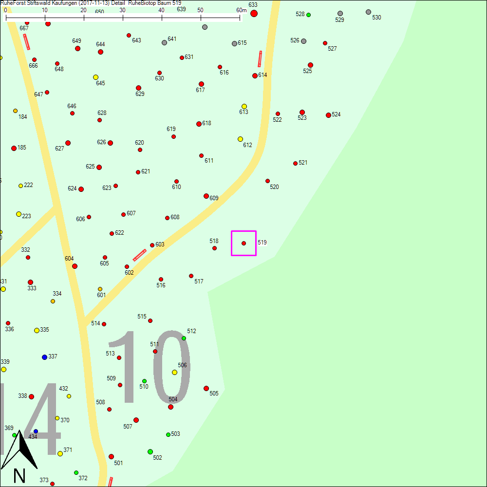 Detailkarte zu Baum 519