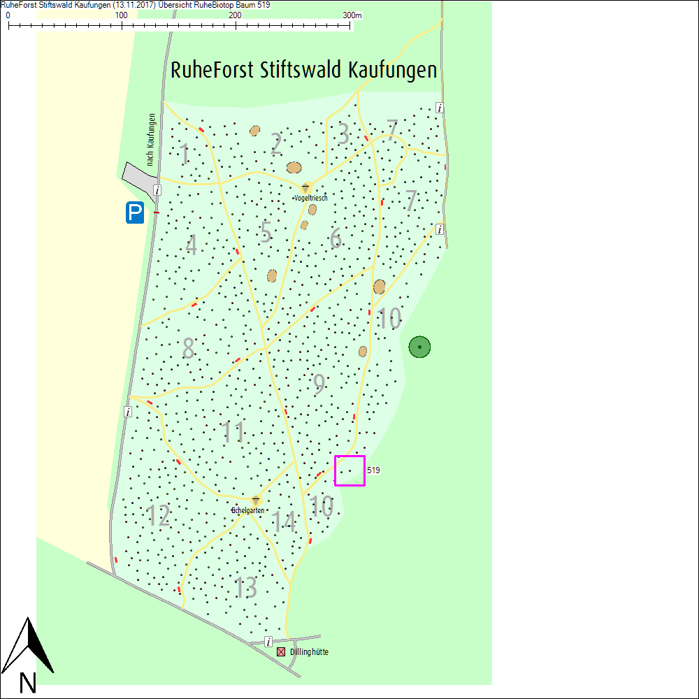 &Uuml;bersichtskarte zu Baum 519
