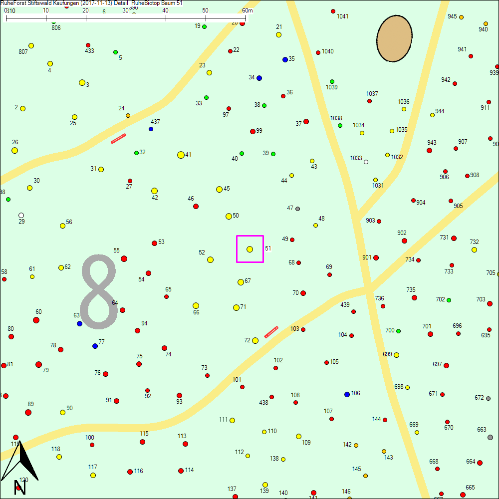 Detailkarte zu Baum 51