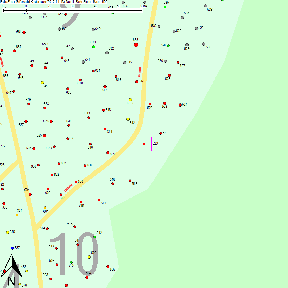 Detailkarte zu Baum 520