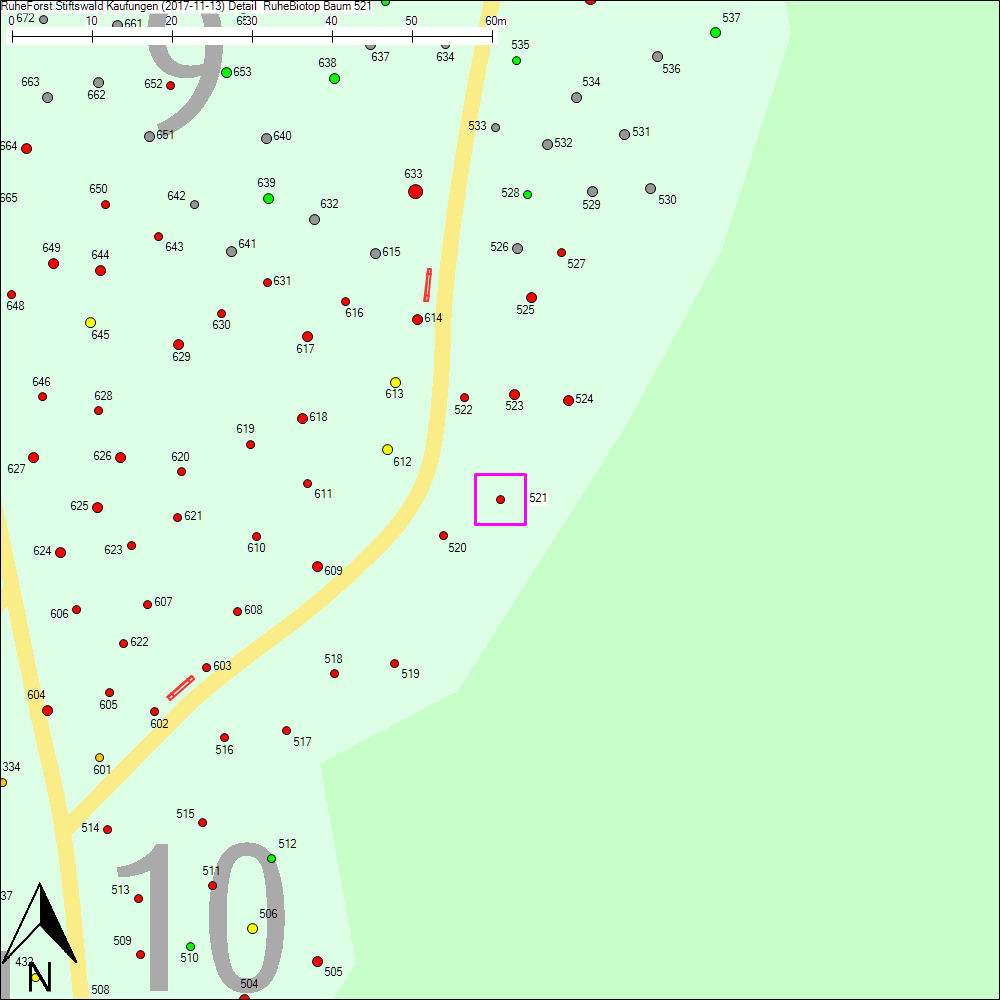 Detailkarte zu Baum 521