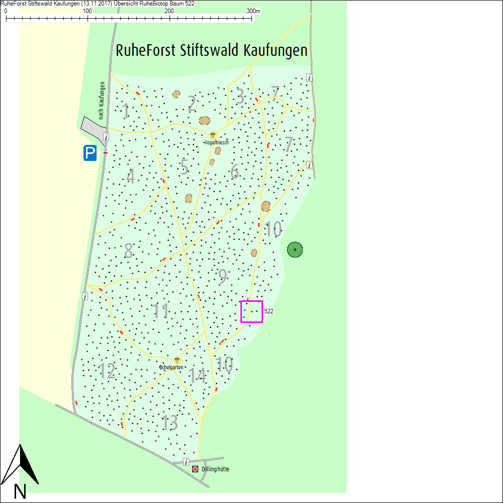 &Uuml;bersichtskarte zu Baum 522