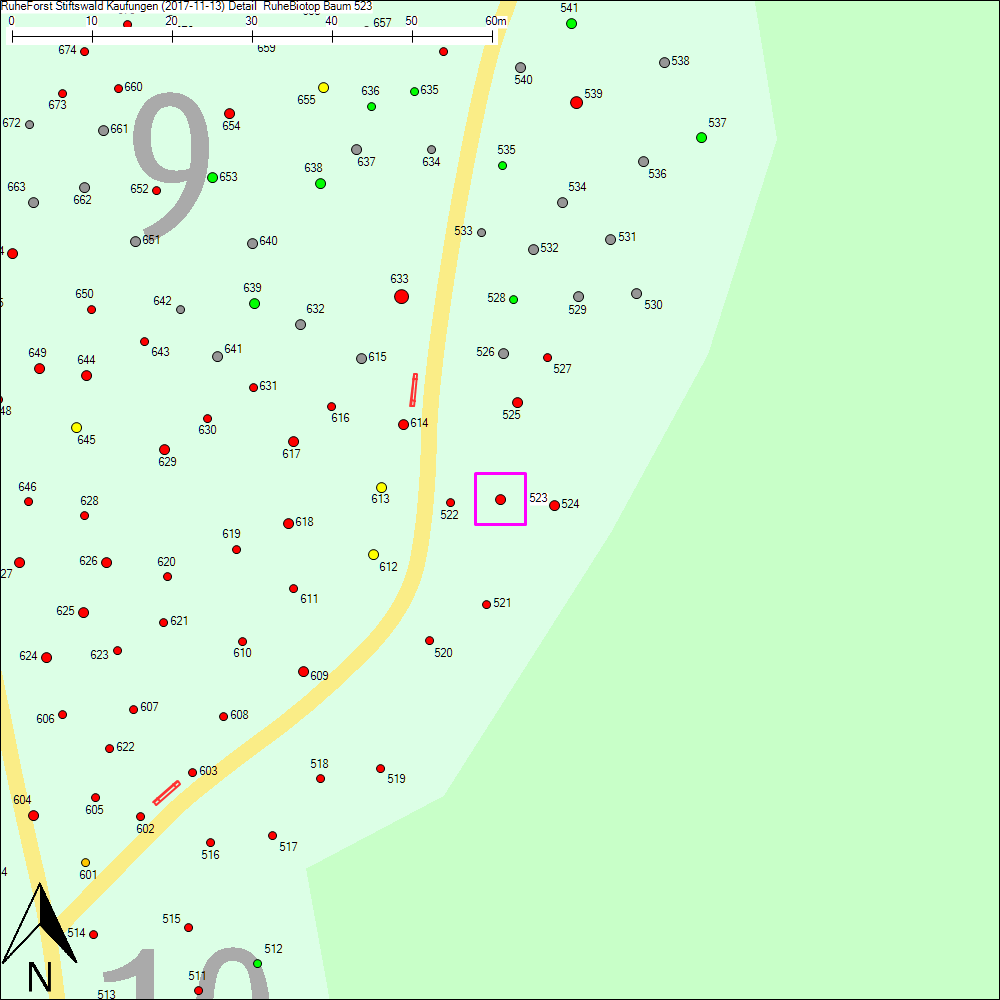 Detailkarte zu Baum 523
