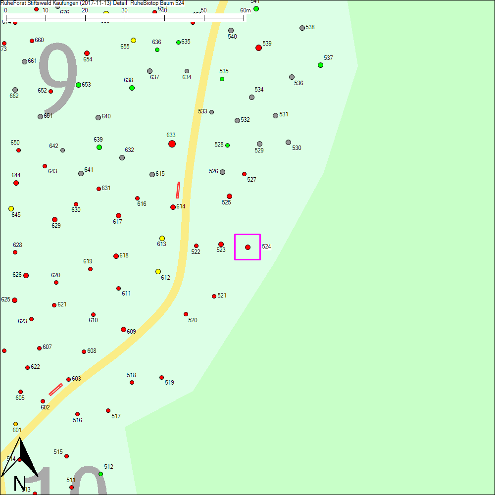 Detailkarte zu Baum 524