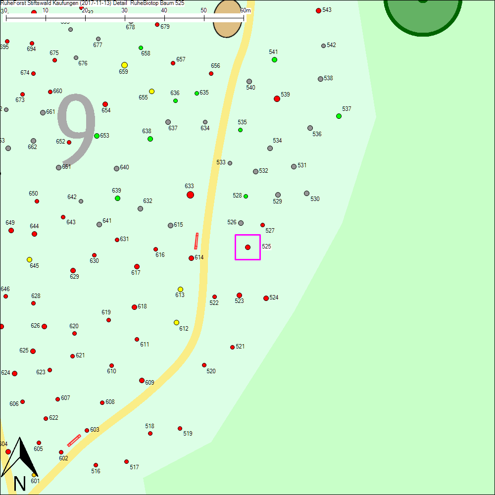 Detailkarte zu Baum 525